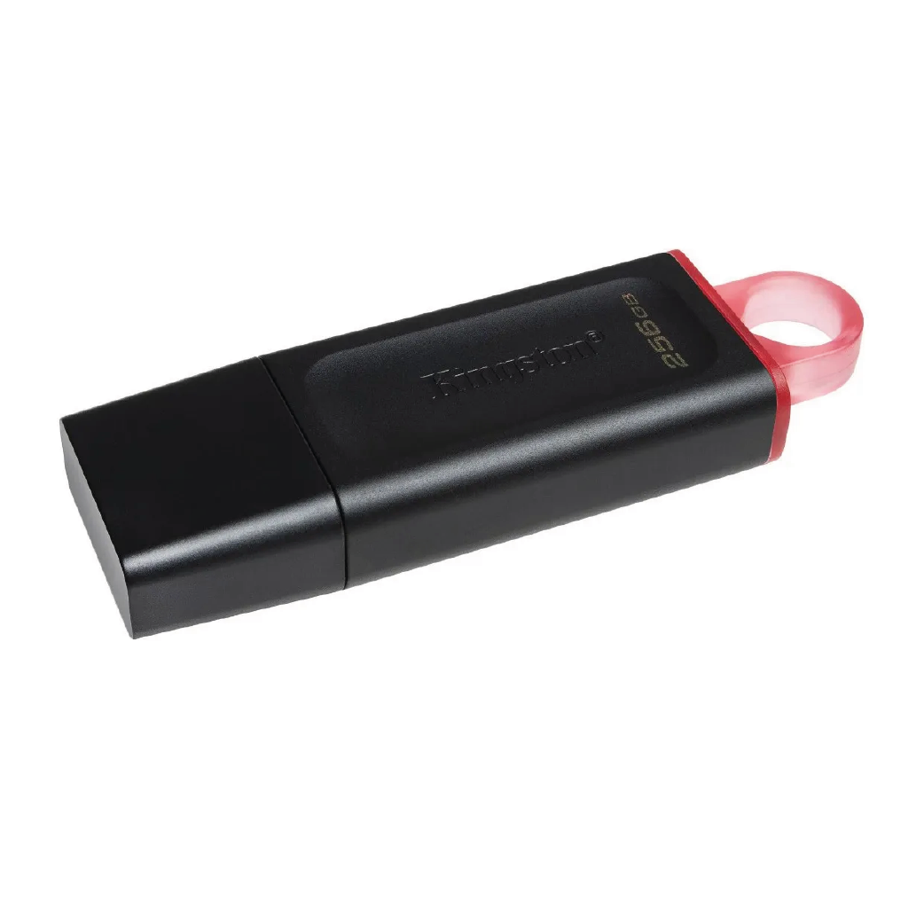 Memoria Usb tipo A Kingston DTX Usb 3.2 Gen1 -256GB