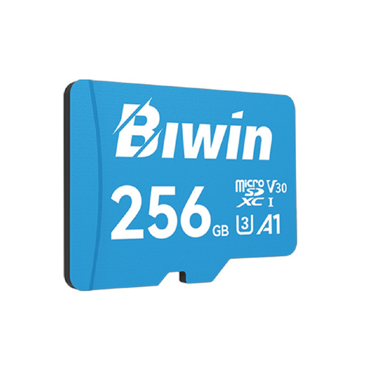 Tarjeta De Memoria Micro SD Biwin ms100 256GB